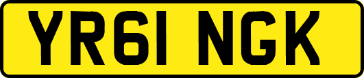 YR61NGK