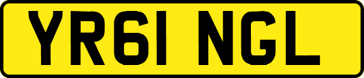 YR61NGL
