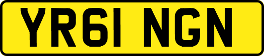 YR61NGN