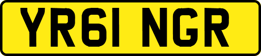 YR61NGR
