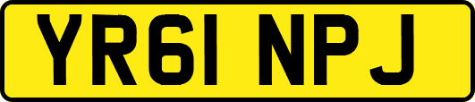 YR61NPJ
