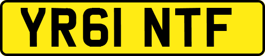 YR61NTF