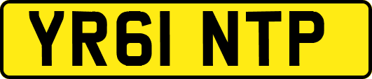 YR61NTP