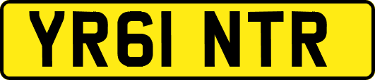 YR61NTR