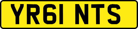 YR61NTS