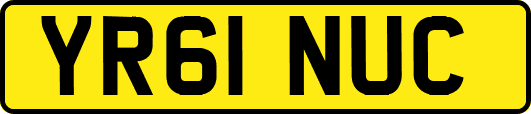 YR61NUC