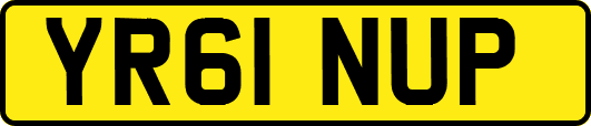 YR61NUP