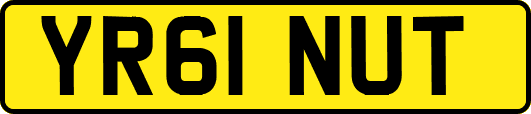 YR61NUT
