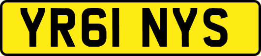 YR61NYS