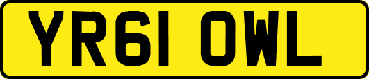 YR61OWL