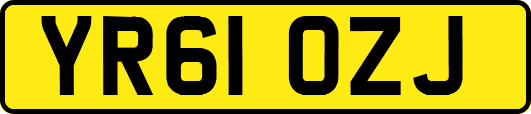 YR61OZJ