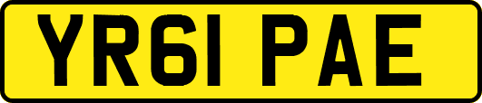 YR61PAE