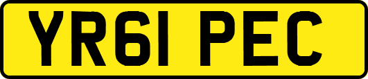 YR61PEC