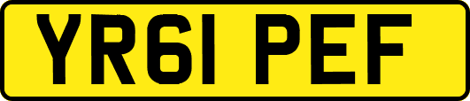 YR61PEF