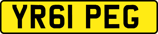YR61PEG