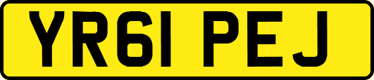 YR61PEJ