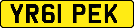 YR61PEK