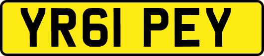 YR61PEY