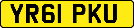 YR61PKU