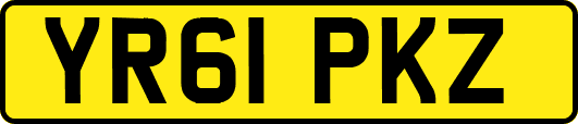 YR61PKZ
