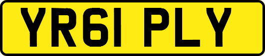 YR61PLY