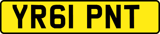 YR61PNT