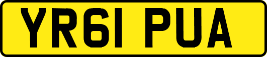 YR61PUA