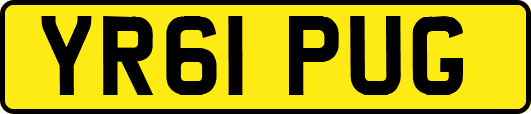 YR61PUG