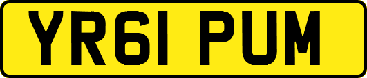 YR61PUM