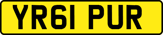 YR61PUR