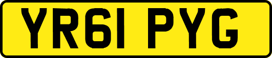 YR61PYG