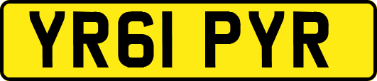 YR61PYR