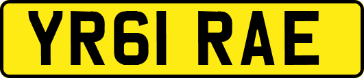 YR61RAE