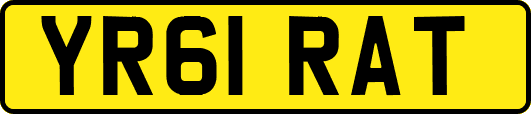 YR61RAT
