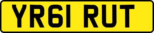 YR61RUT