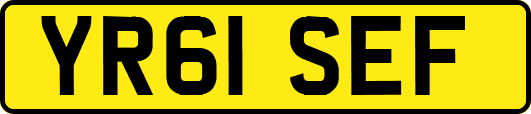 YR61SEF