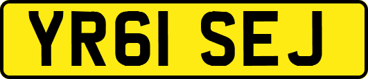 YR61SEJ