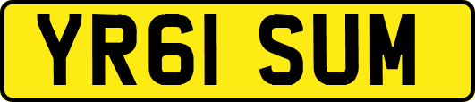 YR61SUM