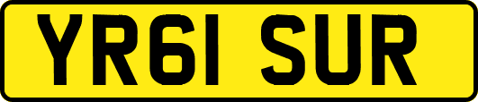 YR61SUR