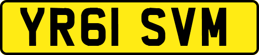 YR61SVM