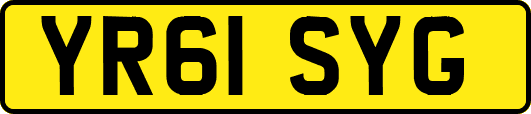 YR61SYG