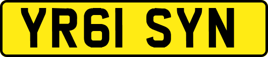 YR61SYN