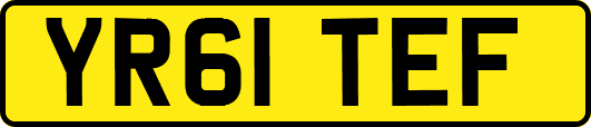 YR61TEF