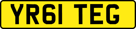 YR61TEG