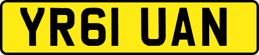 YR61UAN
