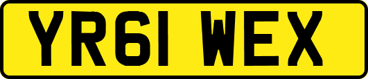 YR61WEX