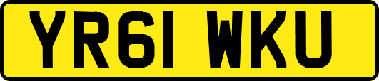 YR61WKU