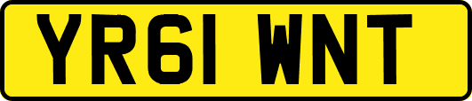 YR61WNT
