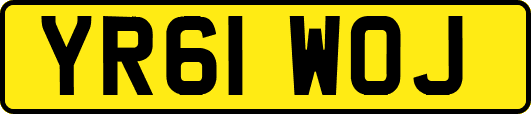 YR61WOJ