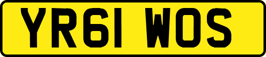 YR61WOS